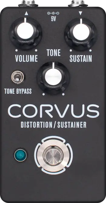 Corvus