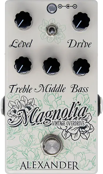 Magnolia