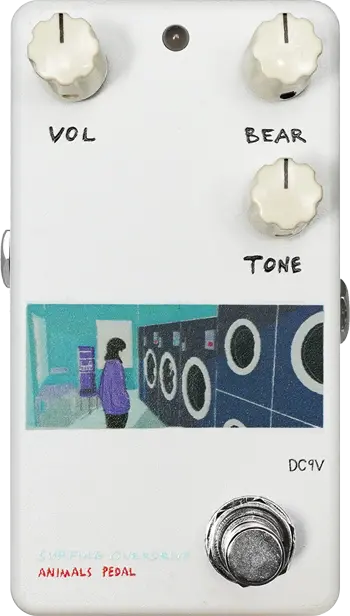 003 Surfing Bear Overdrive
