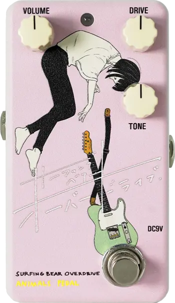 038 Surfing Bear Overdrive