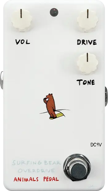 Surfing Bear Overdrive