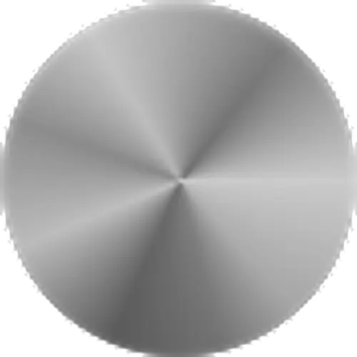 V1