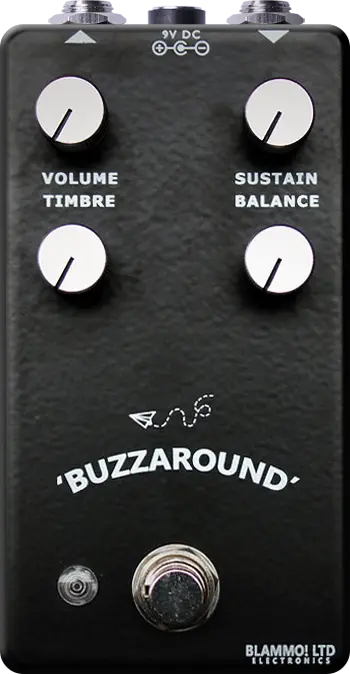 Buzzaround