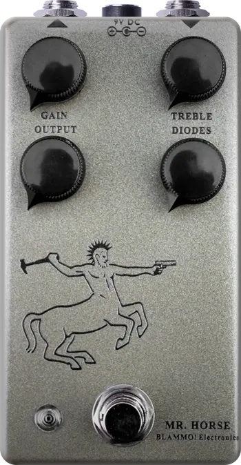 Mr. Horse