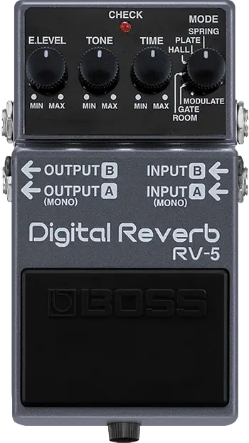RV-5 Digital Reverb