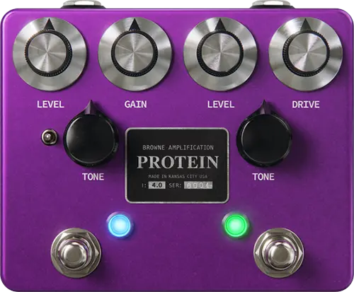 Protein V4 (Purple)