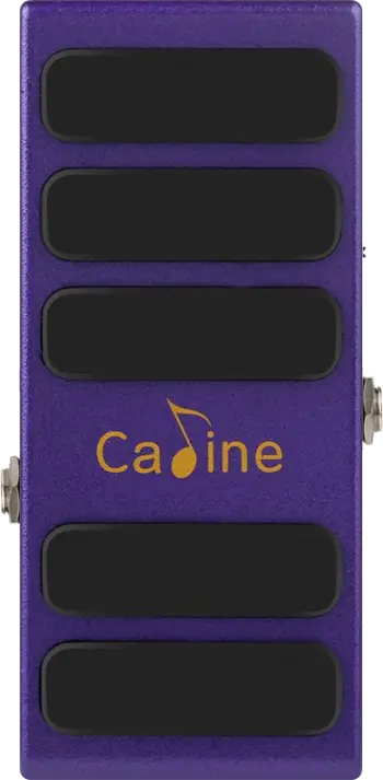 CP-31 Purple Wah