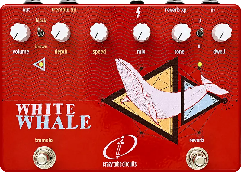 White Whale