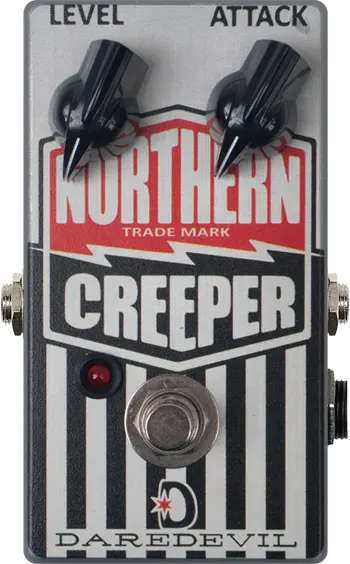 Northern Creeper