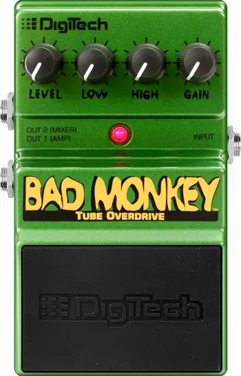 Bad Monkey