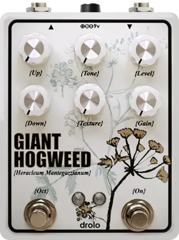 Giant Hogweed