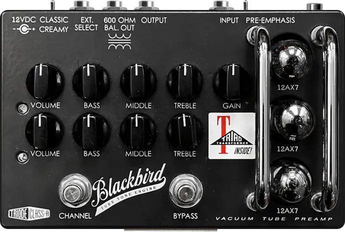 Blackbird