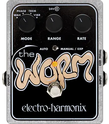 The Worm