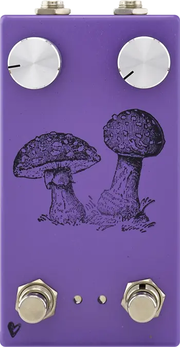 Fly Agaric