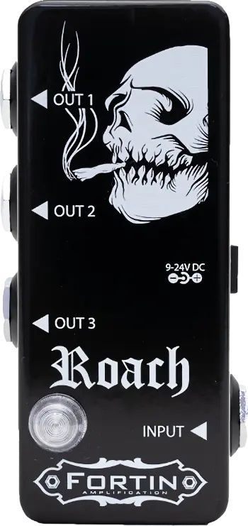 Roach