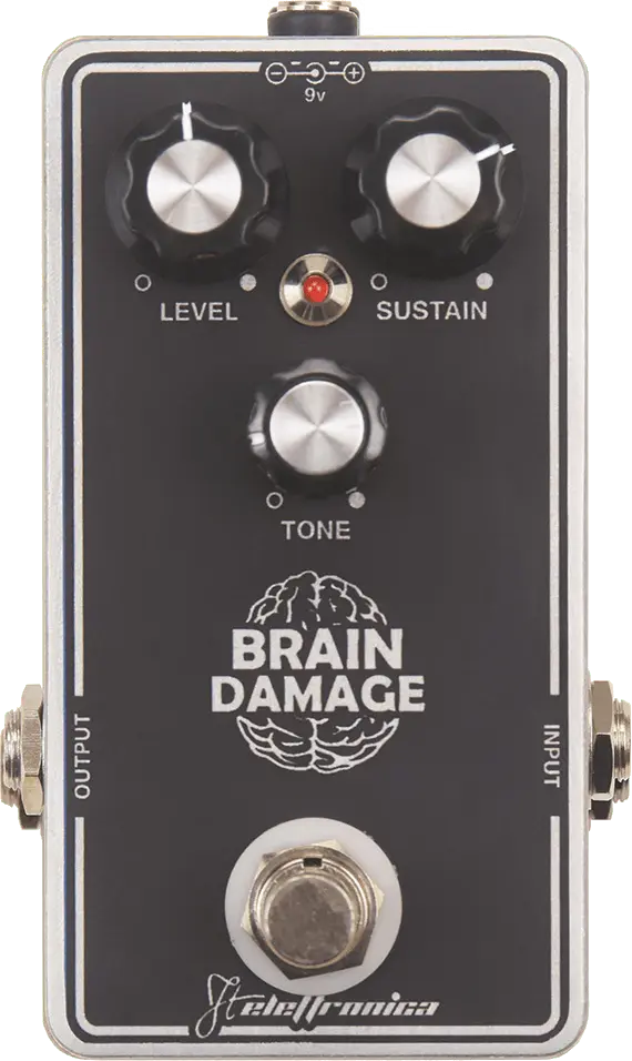 Brain Damage