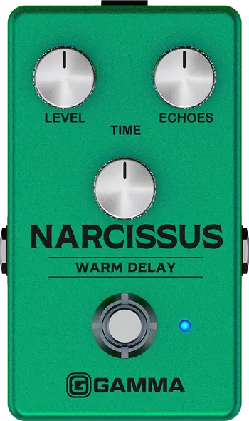Narcissus