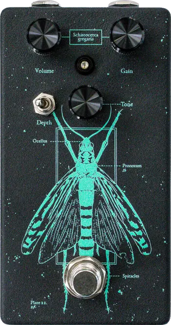 Locust