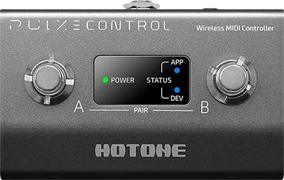 Pulze Control