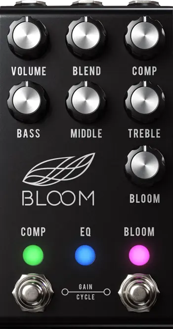 Bloom (Black)