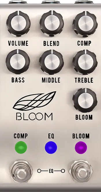 Bloom