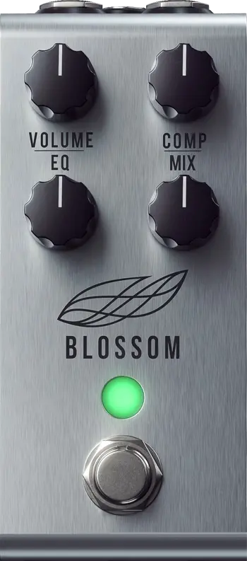 Blossom