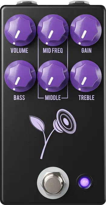 The Violet (Black)