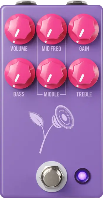 The Violet