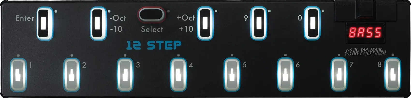 12 Step