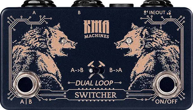 Dual Loop Switcher