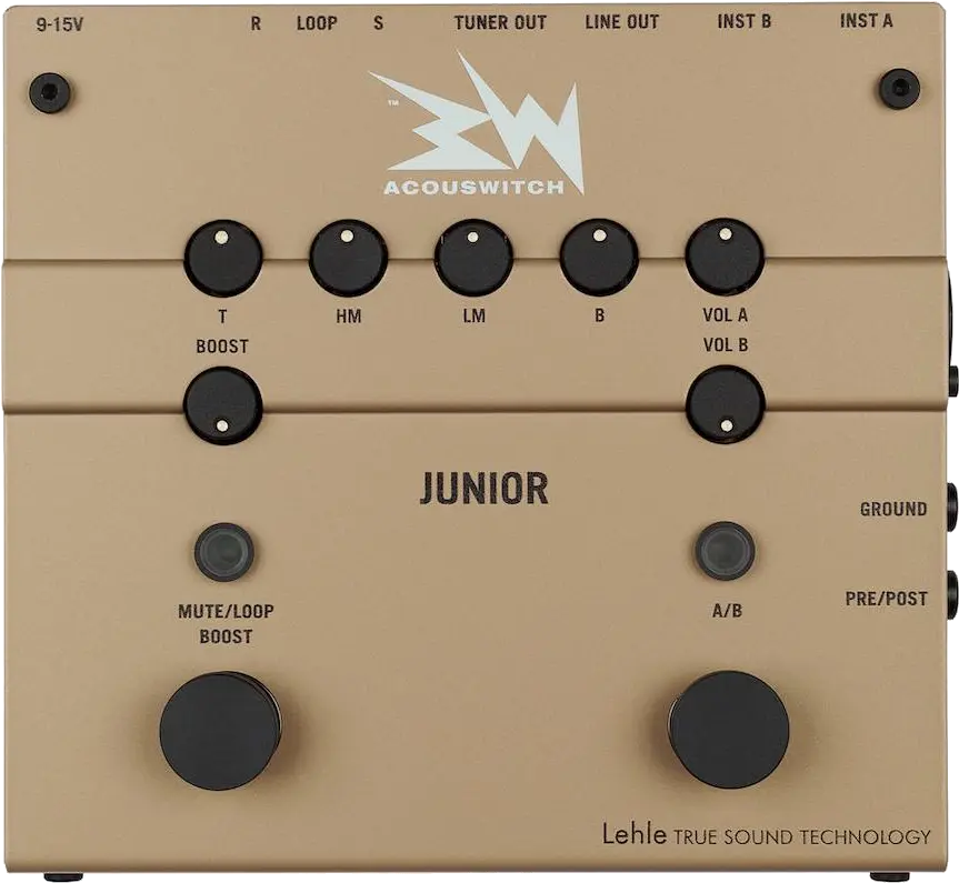 RMI Acouswitch Junior