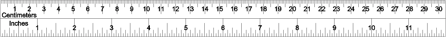 12 Inch Ruler
