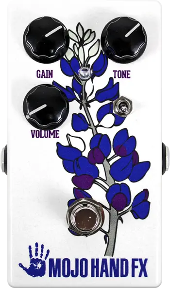 Bluebonnet Special