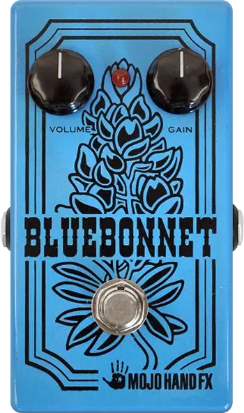 Bluebonnet