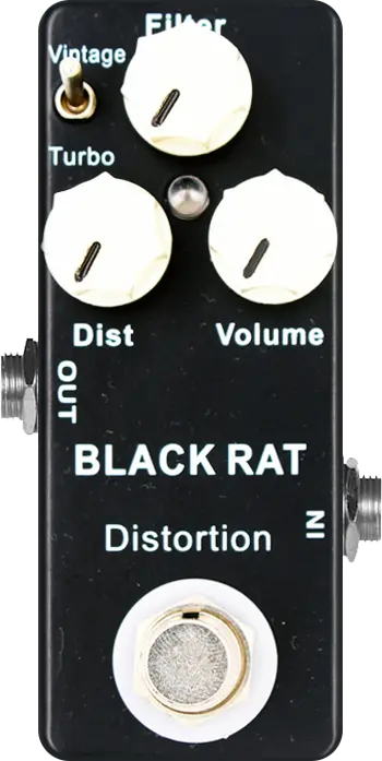Black Rat