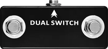 Dual Switch