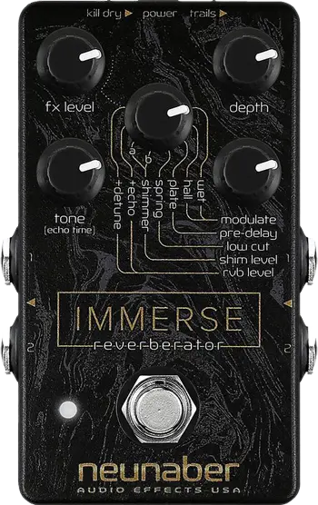 Immerse