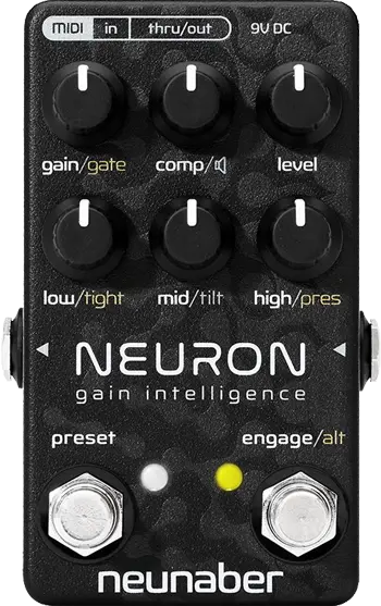 Neuron