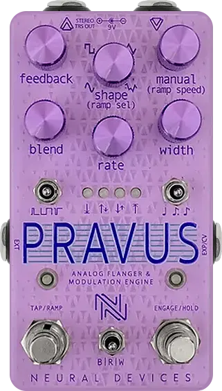 Pravus