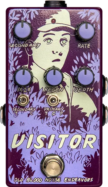 Visitor
