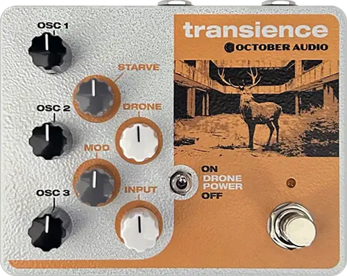 Transience