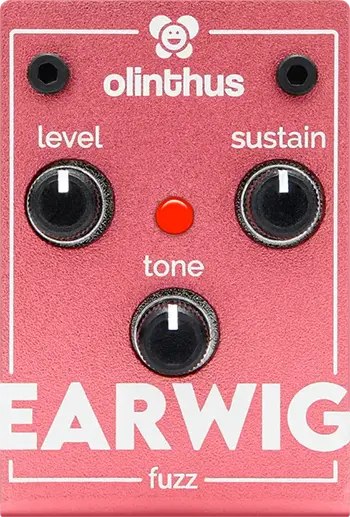 Earwig