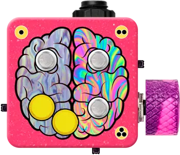Left Brain