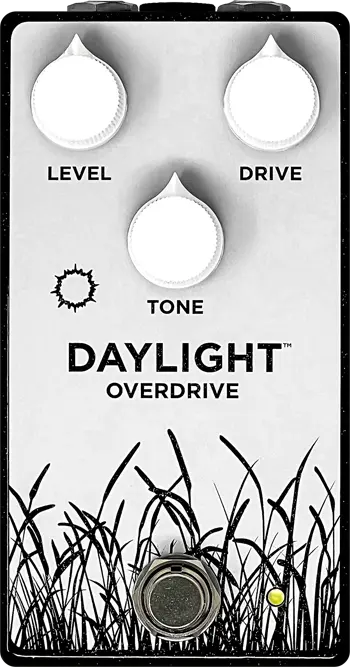 Daylight