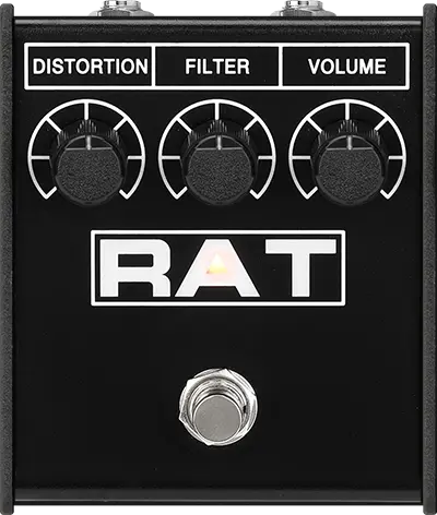 Rat 2