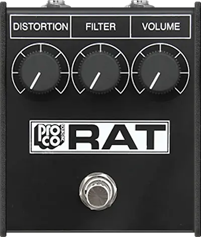 Rat