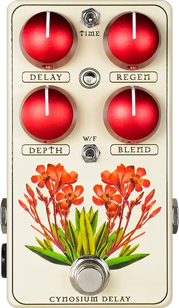 Cynosium Delay