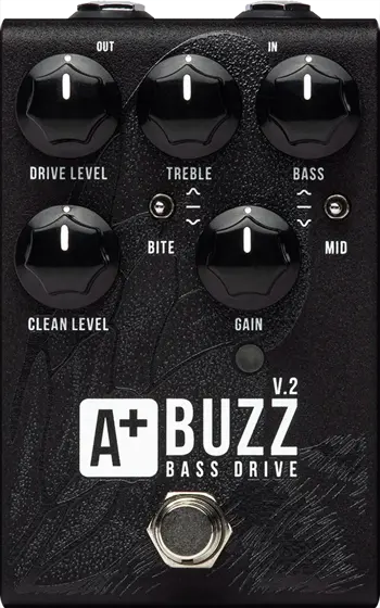 Buzz V.2
