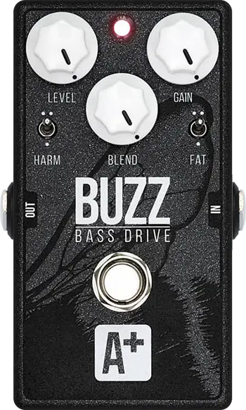 Buzz