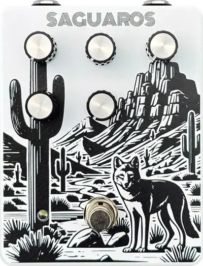 JRS: Saguaros
